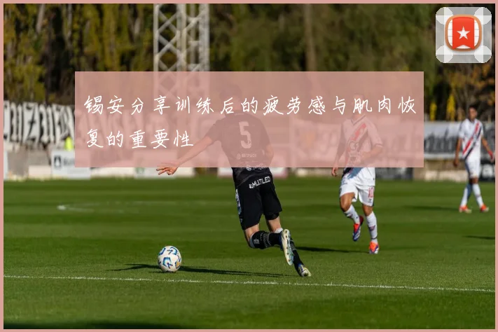 锡安分享训练后的疲劳感与肌肉恢复的重要性