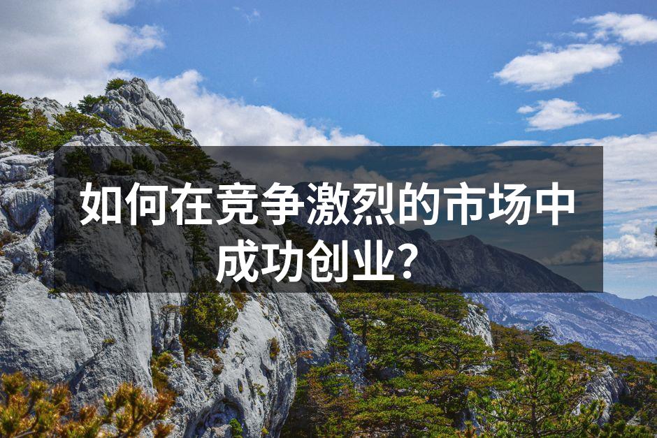 如何在竞争激烈的市场中成功创业？